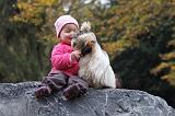 ENFANT ET CHIEN 183